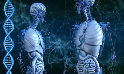 Buscan que la Inteligencia Artificial ayude a mejorar la atención médica