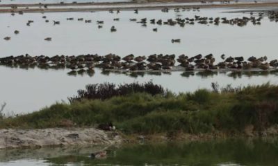 CDMX busca apoyo de EU y Canadá para nueva área protegida del lago de Tláhuac-Xico