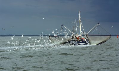 China ignora sus problemas de mano de obra pesquera
