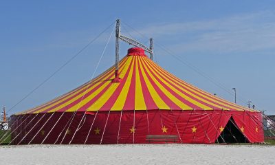 En Mexicali (Baja California) no permitirán la instalación del Circo de Franccesco