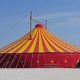 En Mexicali (Baja California) no permitirán la instalación del Circo de Franccesco