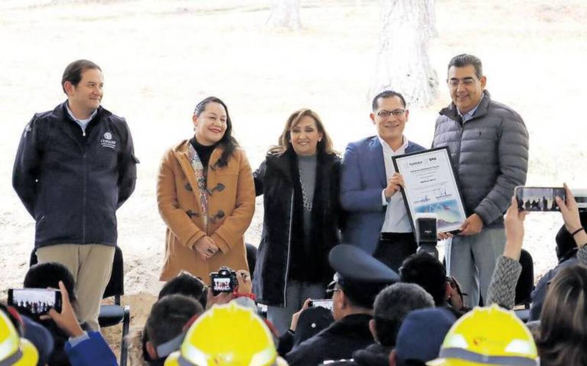 Los gobiernos de Tlaxcala y Puebla van contra tala clandestina en la Malinche