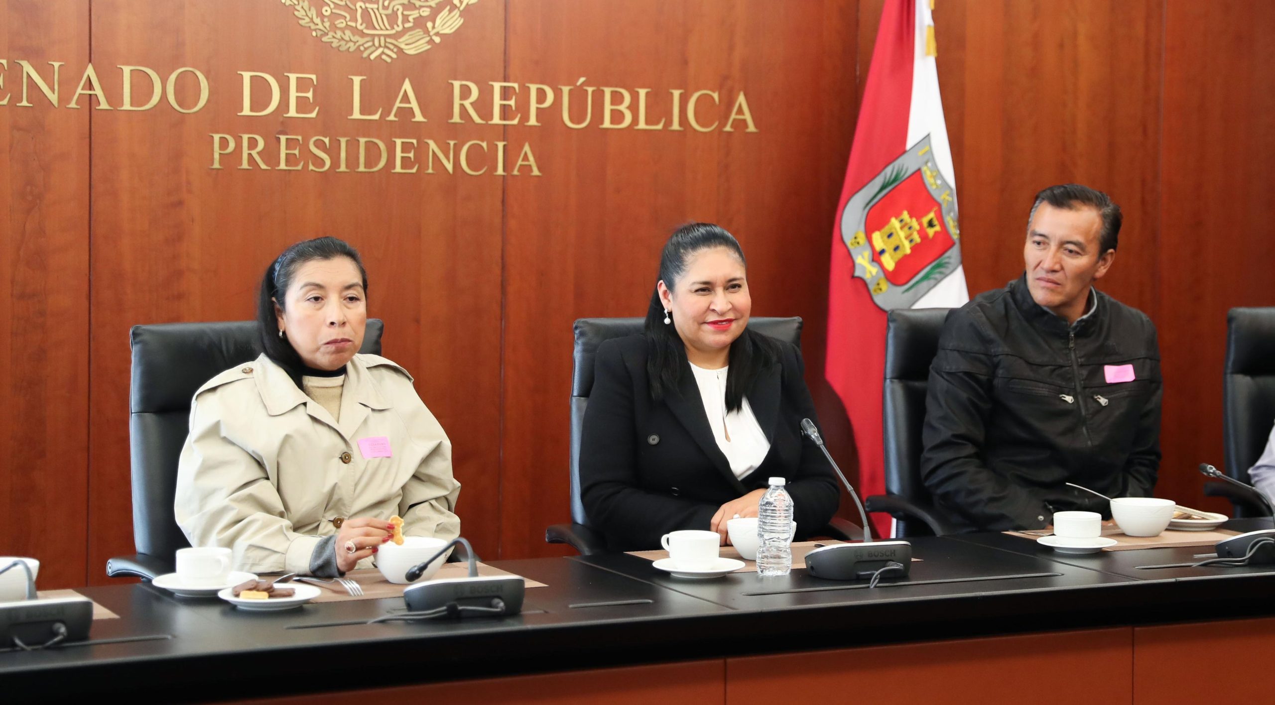 El Senado revisará con interés las iniciativas del Ejecutivo sobre el salario mínimo y las  pensiones: Ana Lilia Rivera