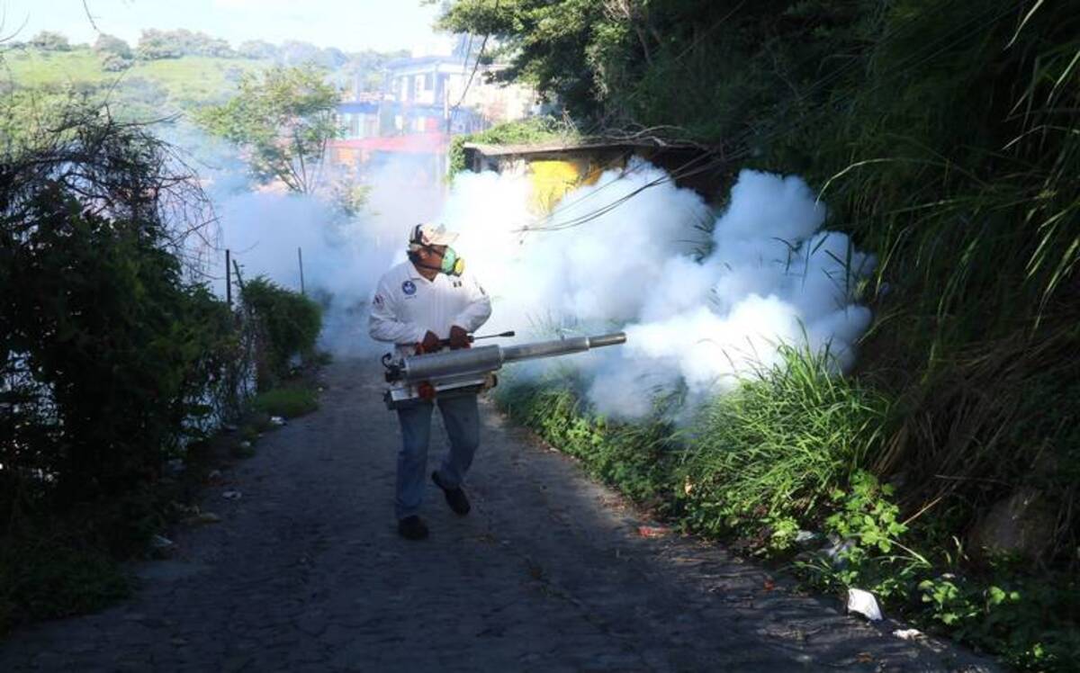 Aumentan los casos de dengue en Guerrero; está en semáforo rojo