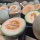 Descartan que melón sonorense causara brote de salmonella en EU y Canadá