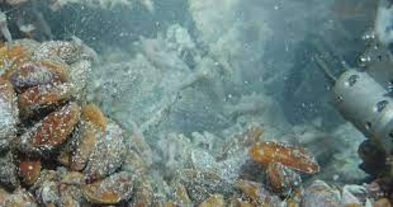 El Parlamento de Noruega aprueba exploración de minerales en lecho marino