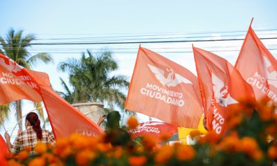 Por inseguridad Movimiento Ciudadano se queda sin candidatos en 20 municipios de Guerrero