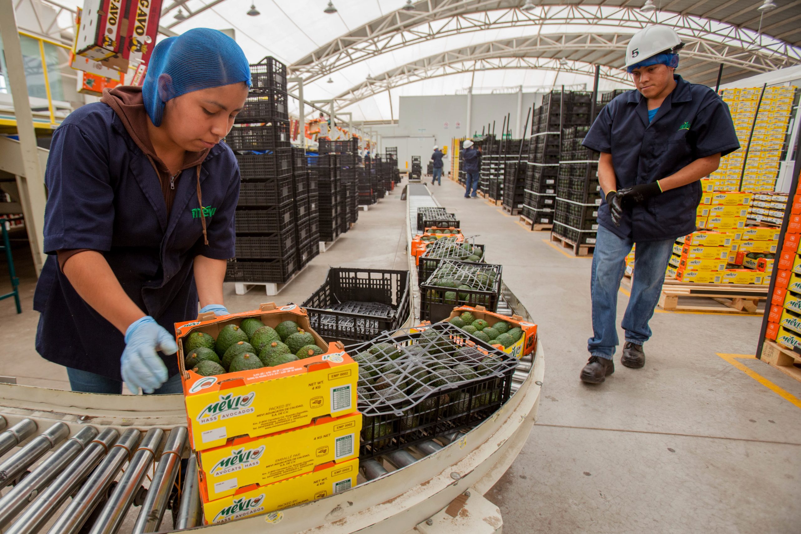 México vende 51 mil 874 mdd de productos agrícolas a Estados Unidos y el mundo 