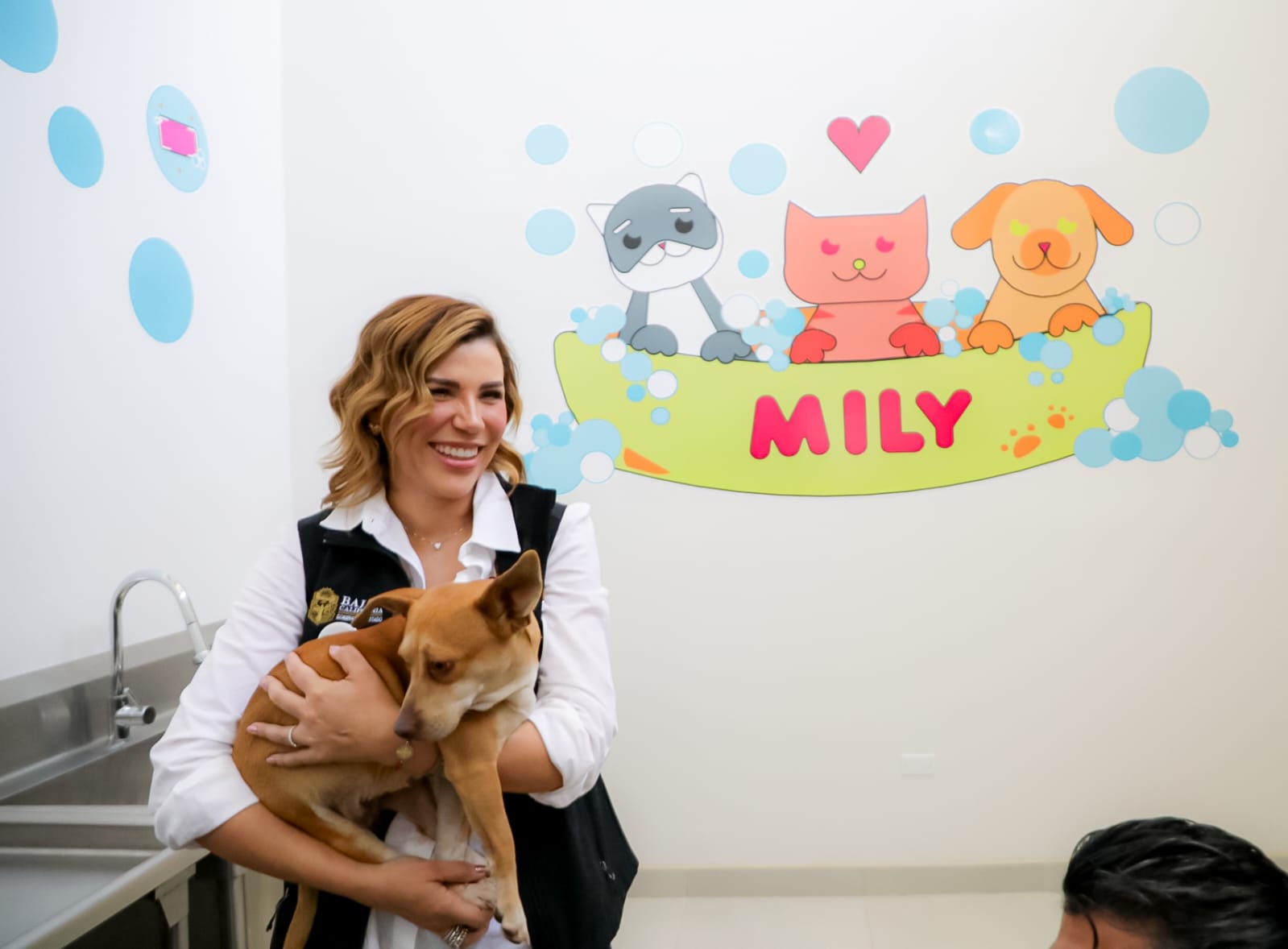 El Animal Mily es el santuario más grande de México para albergar gatos y perros