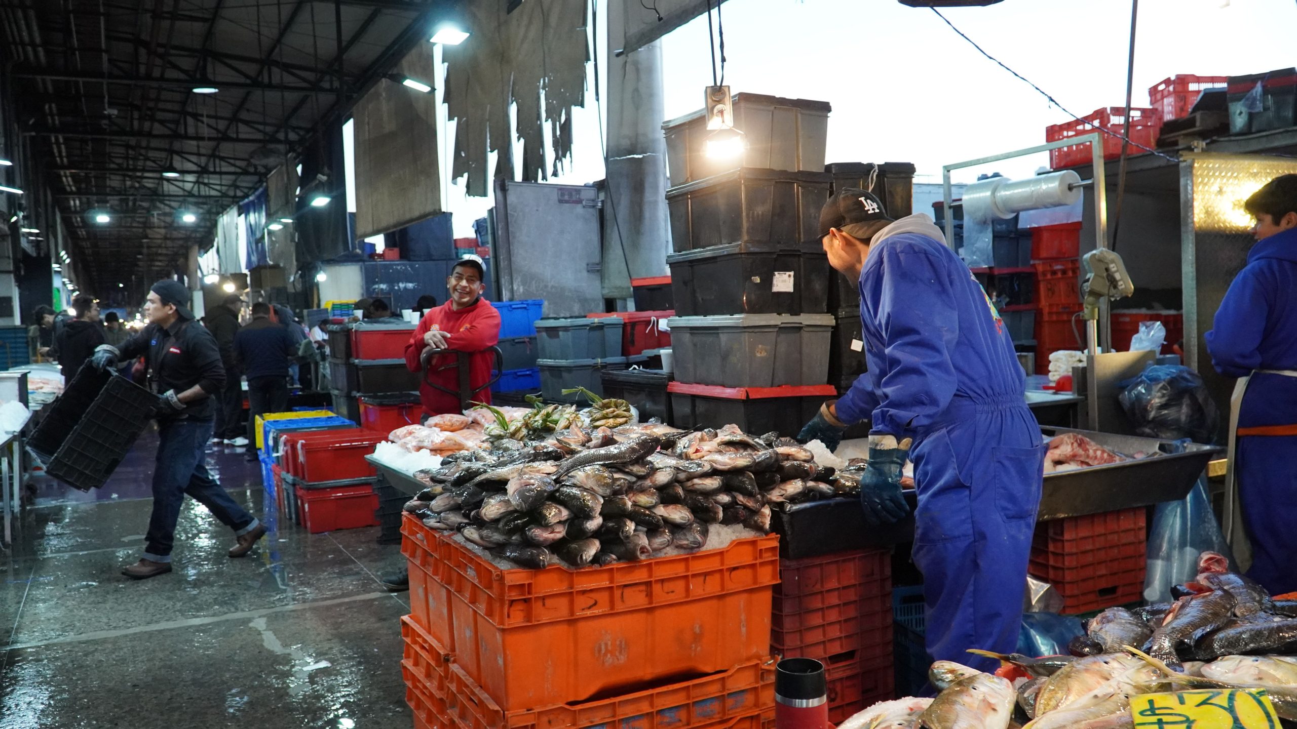 El abasto de pescados y mariscos está garantizado para la cuaresma: Sader