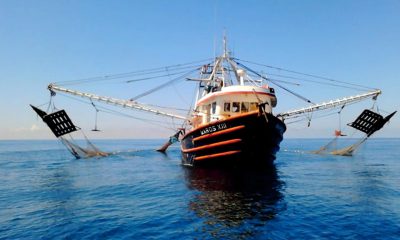 Sólo 100 de 500 barcos en Mazatlán se encuentran de pesca en altamar