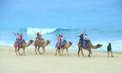 Desde Arabia: Montar a camello en Los Cabos (BCS) es posible