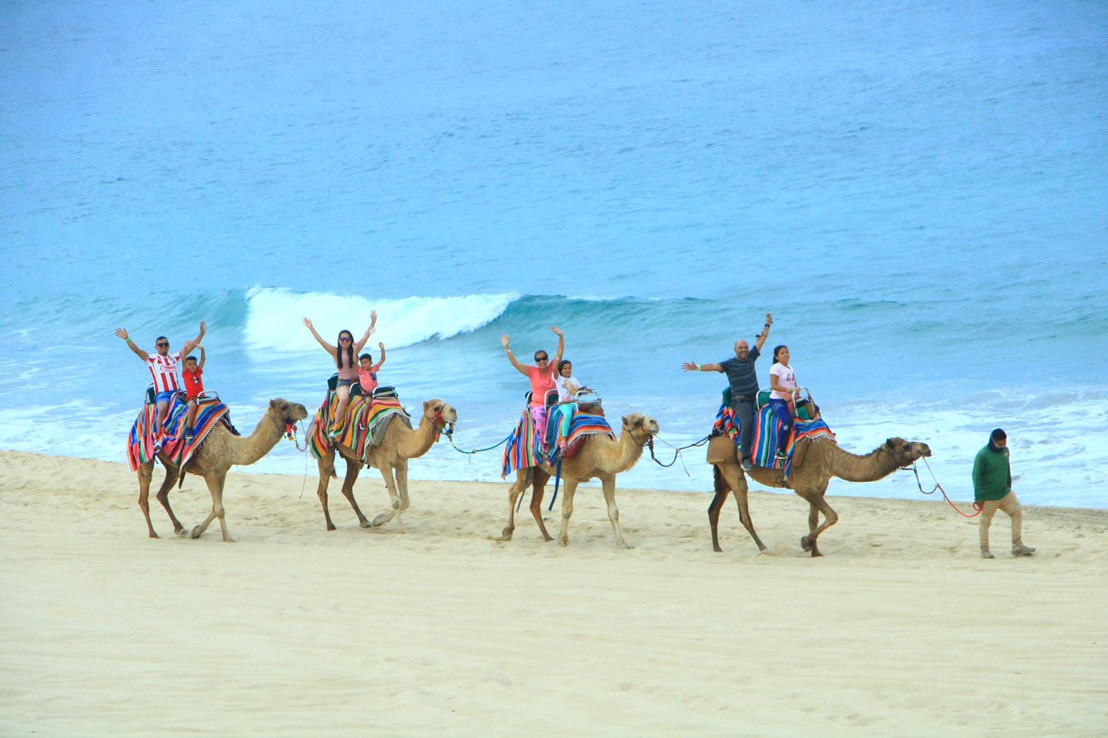 Desde Arabia a Baja California Sur: Montar a camello en Los Cabos es posible