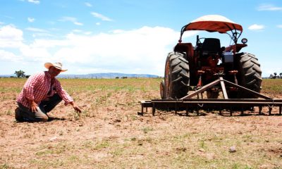 En Zacatecas menos personas trabajan en el campo por la sequía