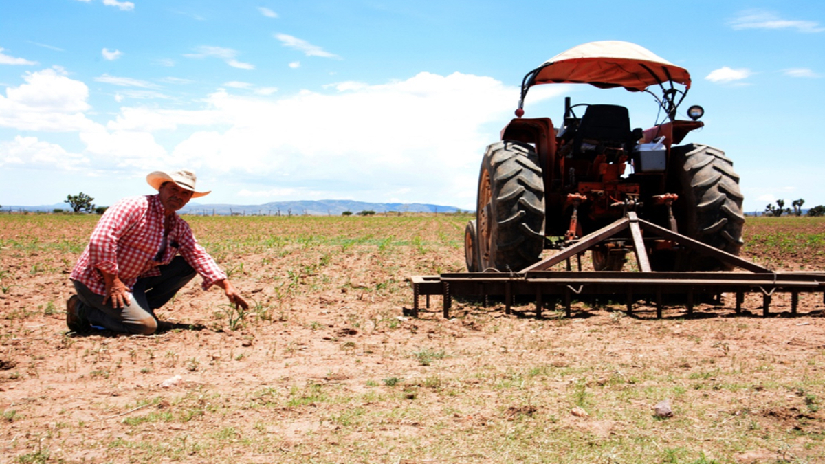 En Zacatecas menos personas trabajan en el campo por la sequía