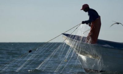 Indígenas cucapá han dejado su actividad ancestral que es la pesca