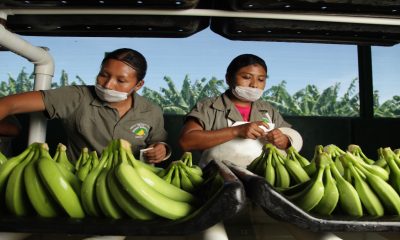 BID invierte 15 mdd para apoyar a la agroindustria en México, Perú, Colombia y Chile