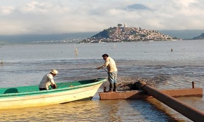 Comuneros aprovechan sequía e invaden terrenos del Lago de Pátzcuaro