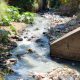 Siete de cada diez ríos del Soconusco (Chiapas) están contaminados