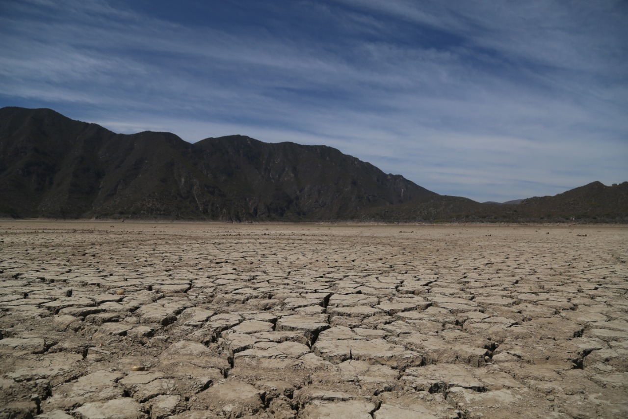 En Zacatecas la sequía en el campo es causa de desempleo: SNE