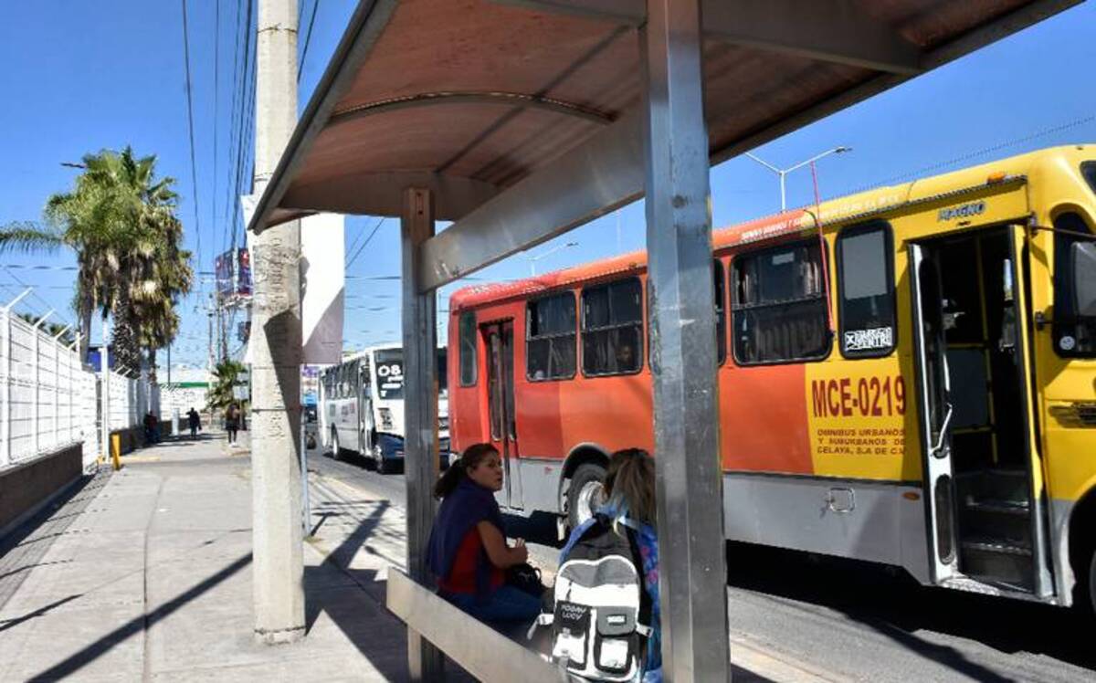 El transporte público de Celaya tiene 90 por ciento de Internet gratuito instalado