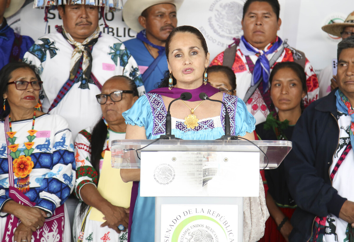 Susana Harp advierte que el uso comercial de híkuri afecta a los pueblos originaros de México