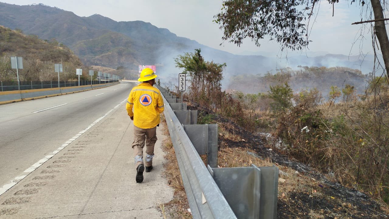 Incendios forestales consumen cerca de 100 hectáreas de zona arbolada en Acapulco