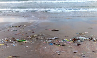 En Baja California las aguas mal tratadas contaminan playas