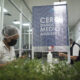 CDAS PepsiCo: Agricultura regenerativa que produce anualmente más de 19 millones de semillas de papa