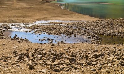Situación crítica: Lagunas del sistema Tamesí-Chairel en Tamulipas se secan
