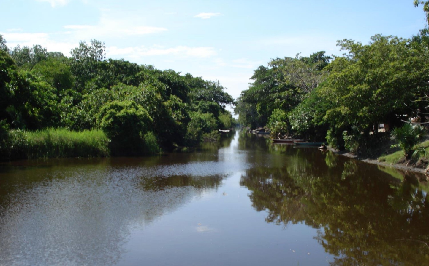 Reserva ecológica El Cabildo Amatal agoniza ante la apatía de las autoridades de Chiapas
