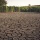 Estiaje causa estragos: Alerta en Tabasco porque se seca el río de la Sierra
