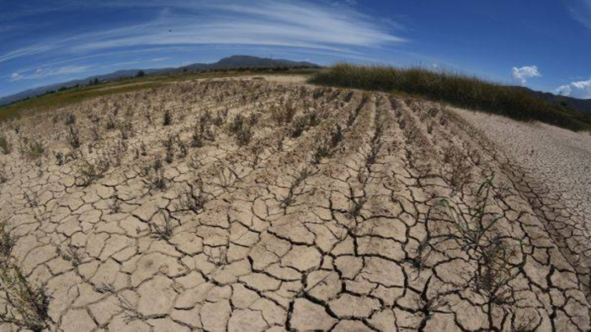 Seis municipios en Sinaloa se encuentran en sequía extrema