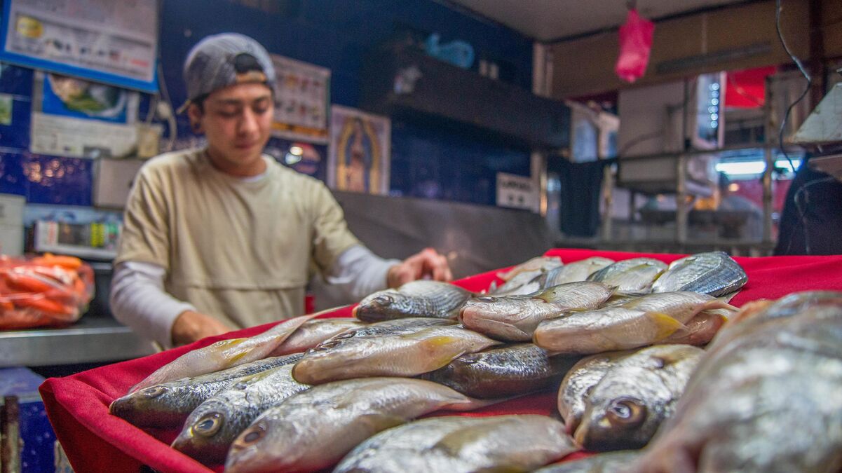 Un centenar de especies de pescados y mariscos están a la venta en la temporada de Cuaresma